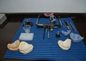 antos24