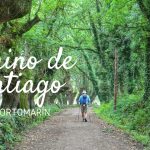 Descubre la ruta perfecta: Camino de Santiago de Sarria a Santiago, la experiencia única que estabas...
