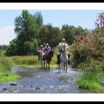 El Camino de Santiago desde Andalucía: La ruta definitiva para los peregrinos