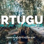 Descubre el Camino de Santiago desde Tui: Mapa, consejos y experiencias