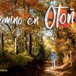 Descubre la magia del Camino de Santiago en octubre: experiencias, paisajes y recomendaciones