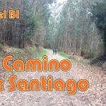 Descubre los fascinantes caminos de Santiago de Compostela: tu guía completa para una experiencia in...