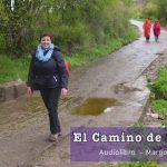 Descubre los mejores libros sobre el Camino de Santiago: una guía imprescindible