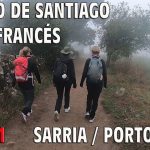 Descubre las etapas del Camino de Santiago desde Sarria: ¡Todo lo que necesitas saber en la guía com...