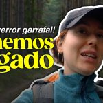 Descubre la mejor experiencia de hacer el Camino de Santiago en agosto: Consejos, recomendaciones y ...