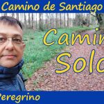 Descubre la aventura de hacer el Camino de Santiago solo: consejos, experiencias y reflexiones