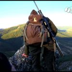 La berrea en la montaña palentina: descubre el fascinante espectáculo de la naturaleza