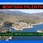 Descubre los secretos de la exquisita miel de la montaña palentina: sabores únicos y beneficios para...