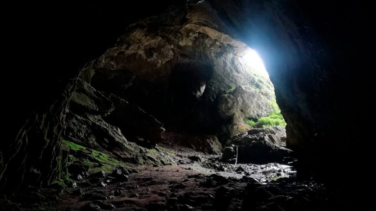 Foto de Parque Natural Montaña Palentina en Guaza de Campos, Palencia