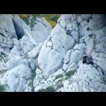 Descubre la impresionante pelea de osos en la montaña palentina: ¡una experiencia única en la natura...