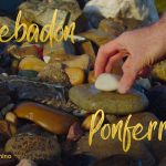Descubre el increíble camino de Santiago desde Ponferrada hasta Santiago de Compostela