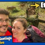 Descubre las encantadoras salas de Tineo en el Camino de Santiago: la guía definitiva