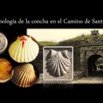 Descubre la magia de la vieira en el Camino de Santiago: todo lo que necesitas saber