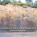 Descubre los tesoros ocultos de Palencia: El Bosque Fósil - La guía completa