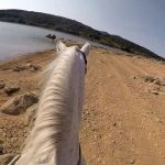 Descubre la belleza natural del Pantano de Requejada en Palencia: Un destino imprescindible para los...