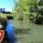 Explorando la belleza natural de Palencia: Descubre el encanto del Río Carrión